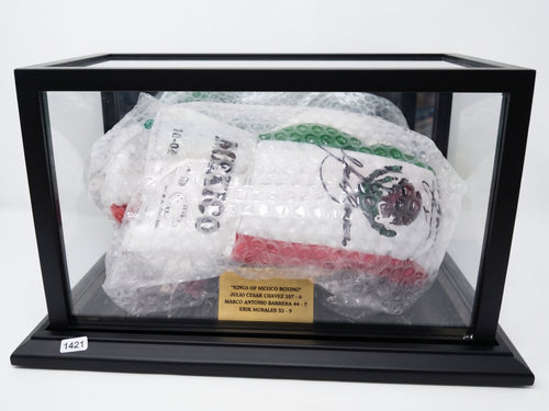 Mexican Boxing Kings Cleto Reyes Gloves Signed by Chavez Barrera Morales