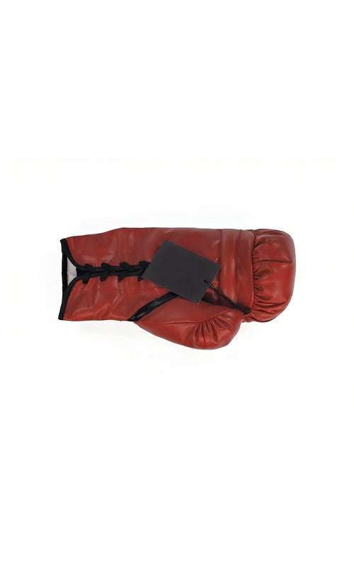 Ray Mancini Signed Everlast Boxing Glove Inscribed Boom Boom for Collectors