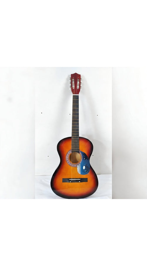 Billie Eilish Signed Acoustic 38 Guitar JSA Music Phenomenon Picks